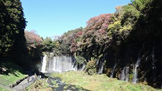 感動しました！