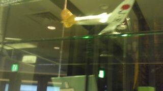 デスクに置きたい