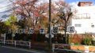 植木の選定道具貸し出しなども行っています