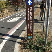 綺麗に整備された自転車と歩行者用の専用道路