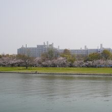 基町河岸緑地