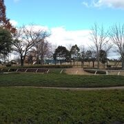 寒い冬になりました。