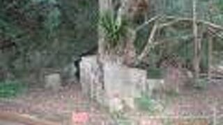 スタンプラリーの一部で行ってみました