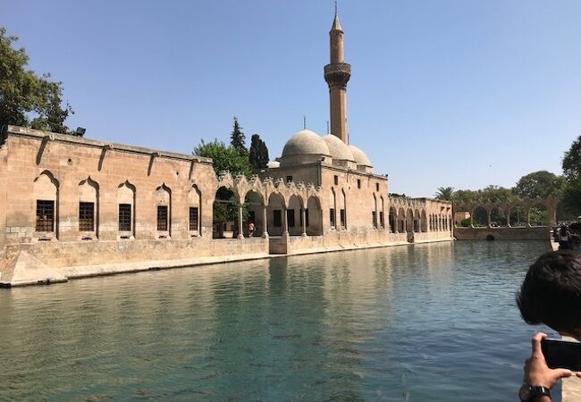 聖なる魚の池の横に建っているモスク