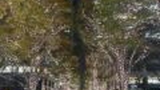 今年もイルミネーション