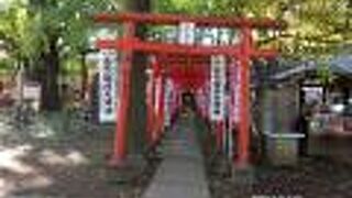 鳥居が魅力的な景観をつくっています。