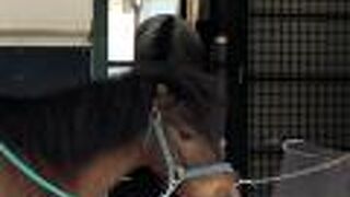 営業再開しています