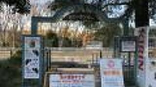 今は試乗はお休み中