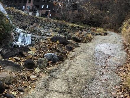 姥湯温泉 桝形屋 写真