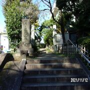 雑司ヶ谷墓地に隣接しています。