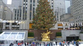 クリスマスツリーの点灯式