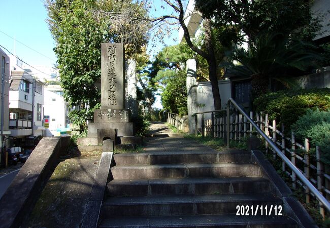 雑司ヶ谷墓地に隣接しています。