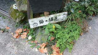 猫ちゃんには会えませんでしたが、雰囲気のある坂道。