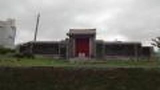 崎山公園を散策しているときに見つけました。