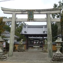 老杉神社