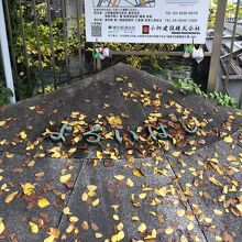 イチョウの葉が綺麗