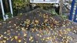 鎧の渡し跡の案内がありました。