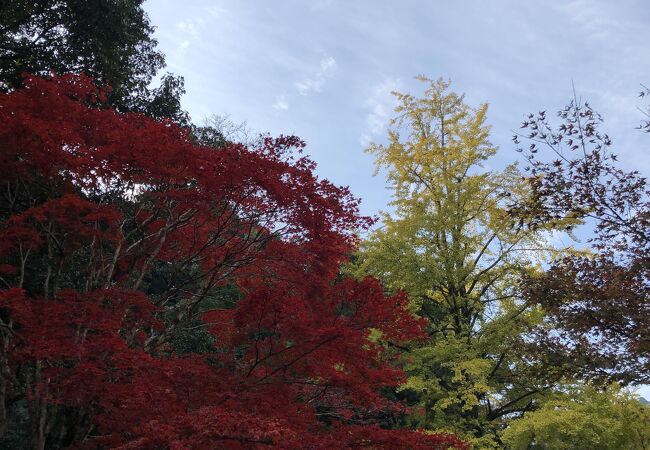 山口県の紅葉 クチコミ人気ランキングtop7 フォートラベル