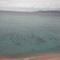 部屋から真下のビーチ