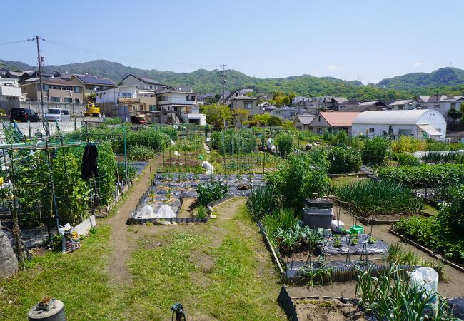 下岡田官衙遺跡