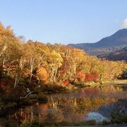 高原の紅葉は、早いですね。