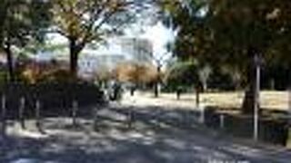 大人もこどもも憩える公園です。