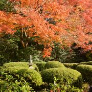 紅葉の詩仙堂。