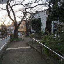 散歩に良さそうな緑道