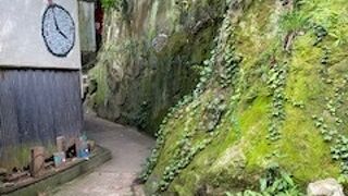 何となく、猫の細道と言う雰囲気あり。