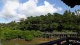 遊歩道が整備され、よく管理されているという印象を受けました。