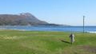 爽やかな風を感じますね