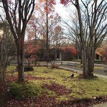 本館がある敷地。庭を囲む形で部屋が並ぶ。