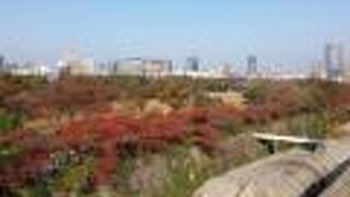 (大阪城西の丸庭園)北政所の屋敷があった場所の様です