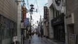 奈良女子大学と続く