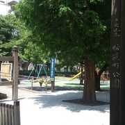 東京シティエア―ターミナル近くにある小さな児童公園