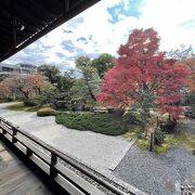 大きな紅葉の木がある寺院