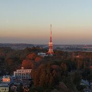 市の中心部にあるタワー