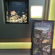 水槽と説明書き