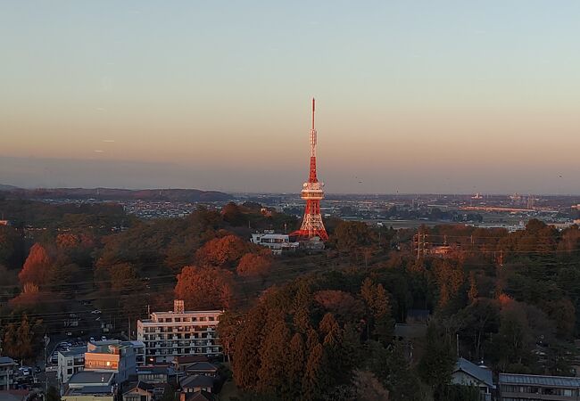市の中心部にあるタワー