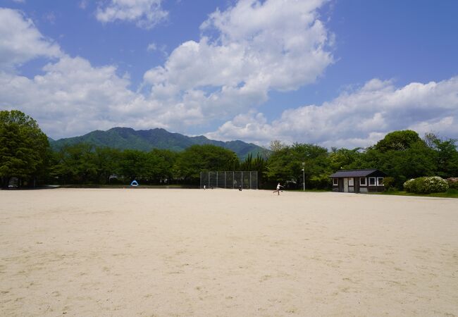 桜尾城址(桂公園)