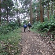  横浜市にある大丸山に登りました