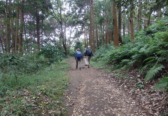  横浜市にある大丸山に登りました