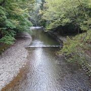 綺麗な景観の川を見ることができます