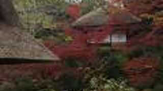 ようじやと庭園