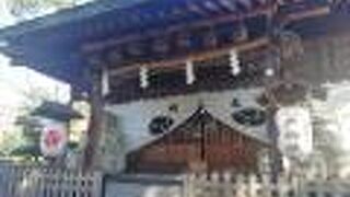 江戸川の土手近く