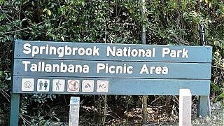 スプリングブルック国立公園