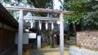 イチョウの絨毯が敷かれているようでした