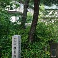 四万温泉で温泉を楽しむなら