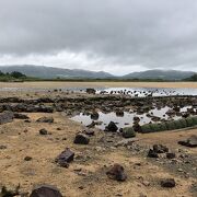 干潮時に現れる道は今でも痕跡が残ってます