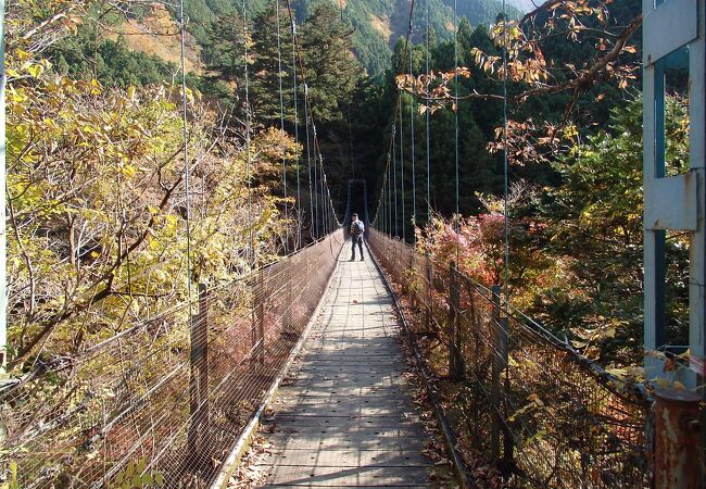 奥多摩むかし道を歩いている途中惣岳渓谷を見ました